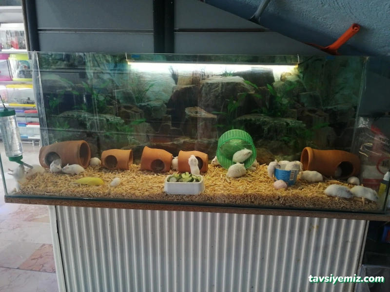 Sera Aquarium Pet Market & Pet Center & Pet Shop Sera Aquarium Pet Market & Pet Center & Pet Shop
