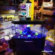 Sera Aquarium Pet Market & Pet Center & Pet Shop Sera Aquarium Pet Market & Pet Center & Pet Shop