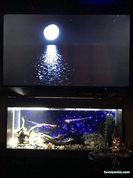 Sera Aquarium Pet Market & Pet Center & Pet Shop Sera Aquarium Pet Market & Pet Center & Pet Shop