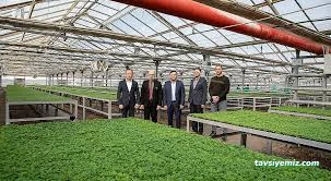 Sera Park Tarım Peyzaj Fidancılık Sera Park Tarım Peyzaj Fidancılık