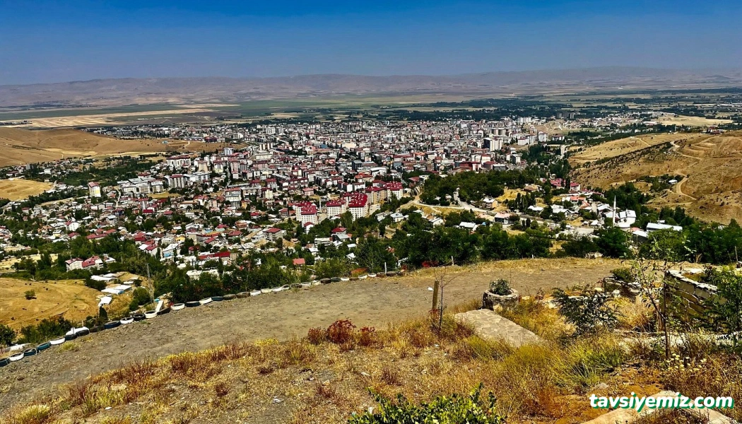 Şeref Büfe