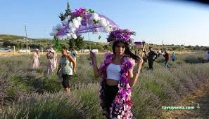 Serence Lavanta Festival Alanı