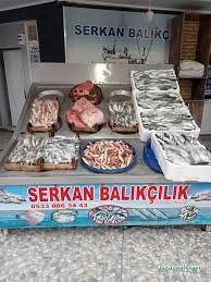 Serkan Balikcilik Serkan Balikcilik
