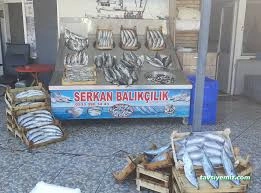 Serkan Balikcilik Serkan Balikcilik