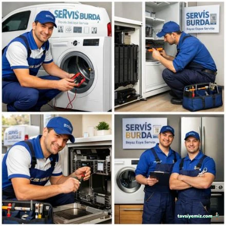 Servis Burda