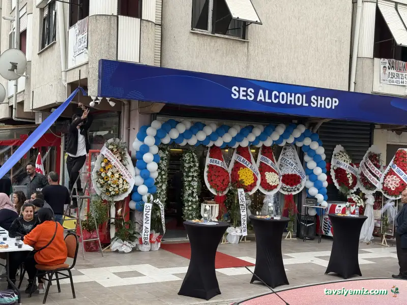 Ses Alkol