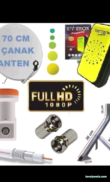 Ses Elektronik Ses Elektronik