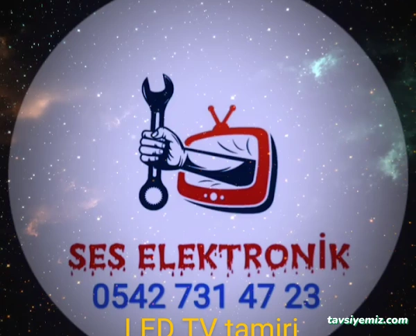 Ses Elektronik Ses Elektronik