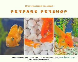 Siirt Petpark Petshop Akvaryum Siirt Petpark Petshop Akvaryum