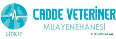 Sinop Cadde Veteriner Kliniği Sinop Cadde Veteriner Kliniği