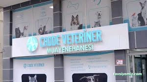 Sinop Cadde Veteriner Kliniği Sinop Cadde Veteriner Kliniği
