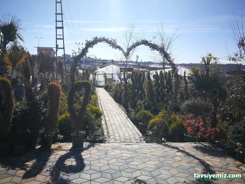 Sinop Peyzaj Çiçekçilik Ve Fidancılık Sinop Peyzaj Çiçekçilik Ve Fidancılık