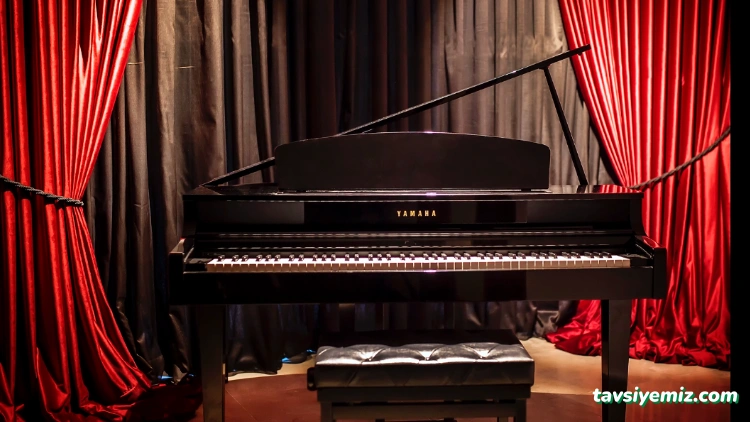 Sinop Ritim Müzik Merkezi Sinop Ritim Müzik Merkezi
