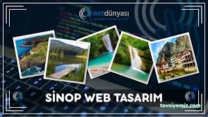 Sinop Web Tasarım Sinop Web Tasarım