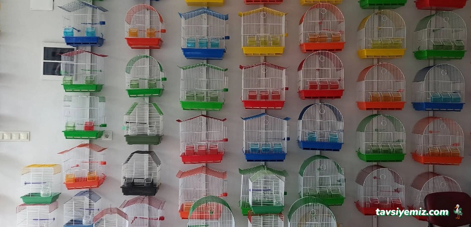 Şırnak Petshop