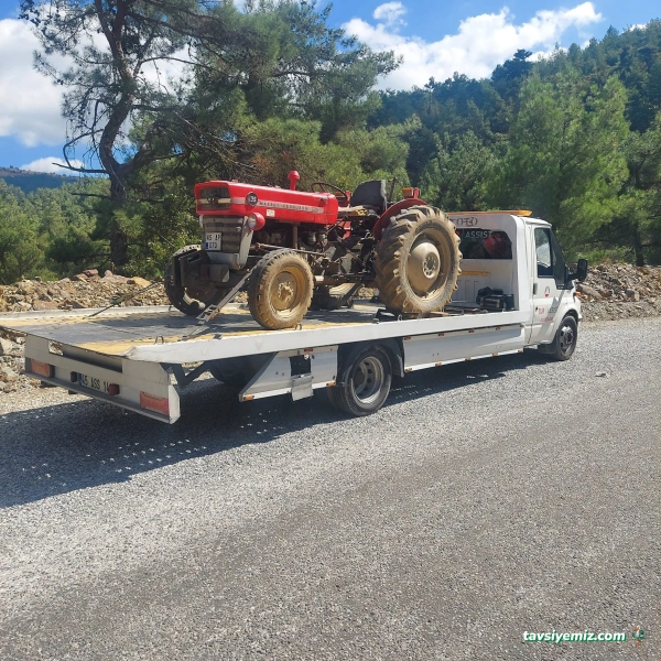 Sistem Oto Kurtarma