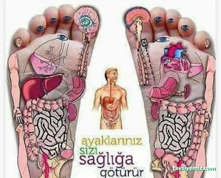 Spa Beauty Studyo - Sivas Masaj Salonu Spa Beauty Studyo - Sivas Masaj Salonu