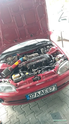 Star Oto Elektrik