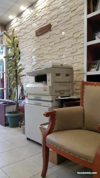 Stüdyo Çağdaş Stüdyo Çağdaş