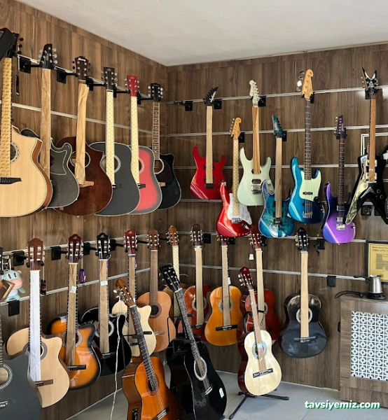 Studyo Fa Müzik Mağazası Studyo Fa Müzik Mağazası