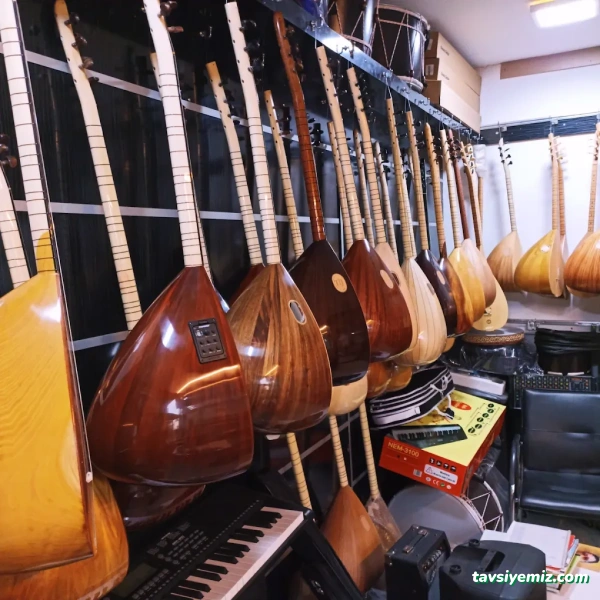 Stüdyo Ozan Müzik Aletleri Ozan Duymaz Adıyaman Müzik Stüdyo Ozan Müzik Aletleri Ozan Duymaz Adıyaman Müzik
