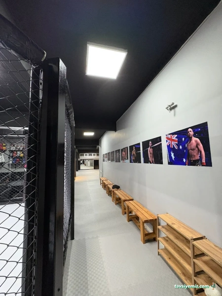 Submission Fight Academy Submission Fight Academy