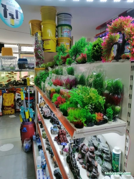 Sude Pet Shop Sude Pet Shop