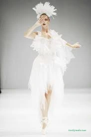 Swan Fashion Swan Fashion