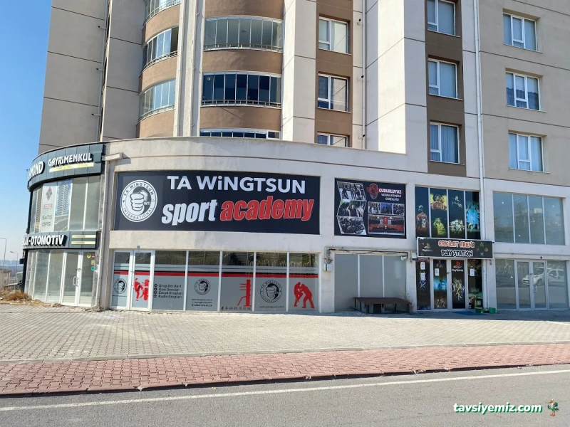 Ta Wingtsun Kayseri Ta Wingtsun Kayseri