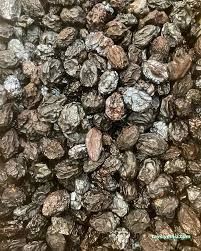 Tadal Kuruyemiş Toptan Ve Perakende Adıyaman Tadal Kuruyemiş Toptan Ve Perakende Adıyaman