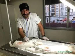 Tamara Pet Veteriner Kliniği Tamara Pet Veteriner Kliniği