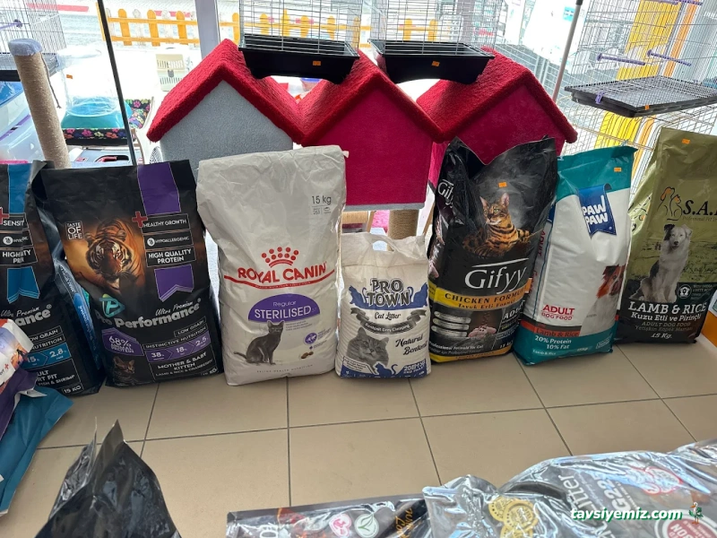 Tarçın Petshop