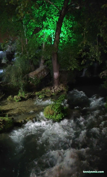 Tarsus Selale Çaybahcesi Tarsus Selale Çaybahcesi