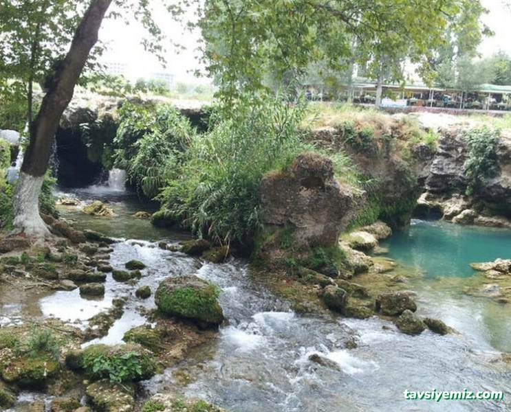 Tarsus Selale Çaybahcesi Tarsus Selale Çaybahcesi