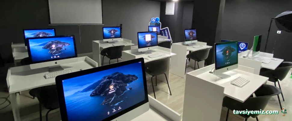 Tayfa Creative  Malatya Web Tasarım