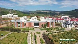 T.c. Bingöl Üniversitesi T.c. Bingöl Üniversitesi