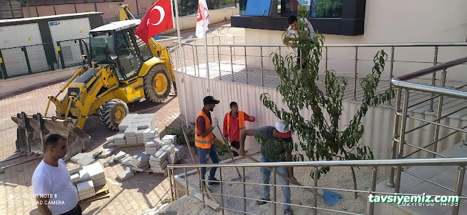 Tekin Hafriyat Şubesi Tekin Hafriyat Şubesi
