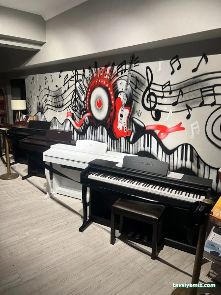 Tekin Müzik Akademi Tekin Müzik Akademi