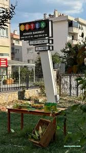 Tekirdağ Özel Petek Kreş Tekirdağ Özel Petek Kreş