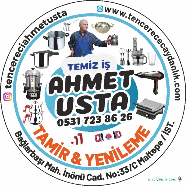 Temiziş