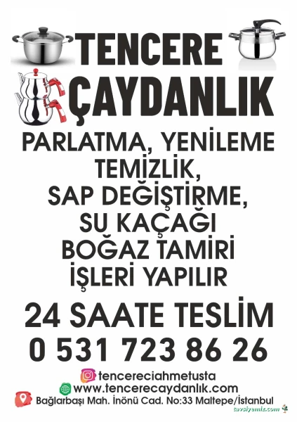 Temiziş