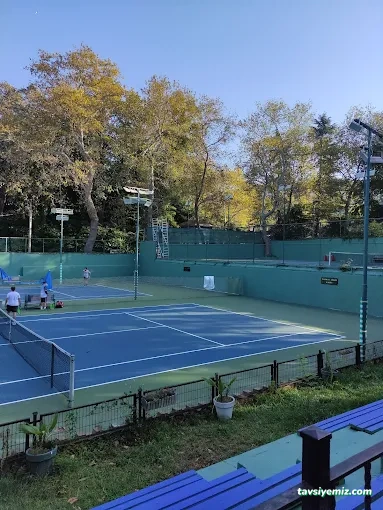 Tenis Kortu Zonguldak Tenis Kortu Zonguldak