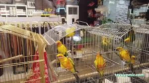 Tetra Pet Shop Tetra Pet Shop