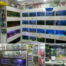 Tetra Pet Shop Tetra Pet Shop