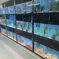 Tez Akvaryum(Pet Shop) & Sportif Av Malzemeleri