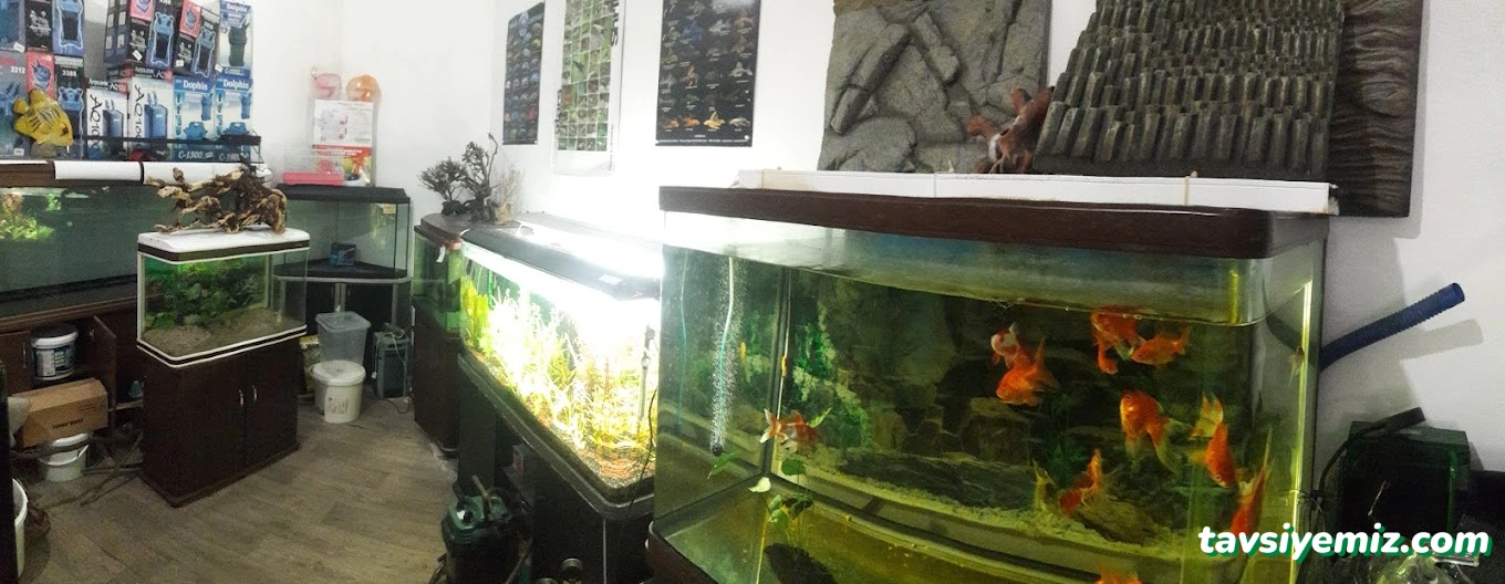 Tez Akvaryum(Pet Shop) & Sportif Av Malzemeleri Tez Akvaryum(Pet Shop) & Sportif Av Malzemeleri