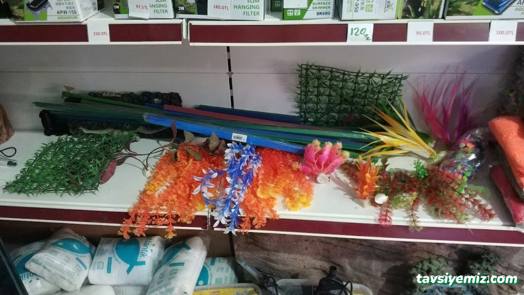 Tez Akvaryum(Pet Shop) & Sportif Av Malzemeleri Tez Akvaryum(Pet Shop) & Sportif Av Malzemeleri