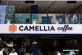 The Camellia Cafe The Camellia Cafe