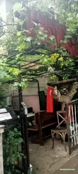 Thescape Korku Evi Ve Evden Kaçış Oyunu (Bahçelievler) Thescape Korku Evi Ve Evden Kaçış Oyunu (Bahçelievler)
