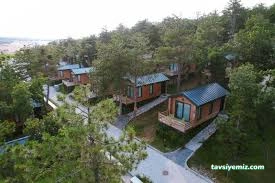 Tnr Mavi Çatı Restoran Bungalov Konaklama Tnr Mavi Çatı Restoran Bungalov Konaklama
